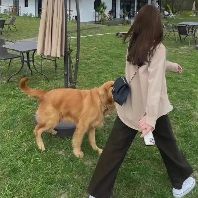 夺命姐妹花